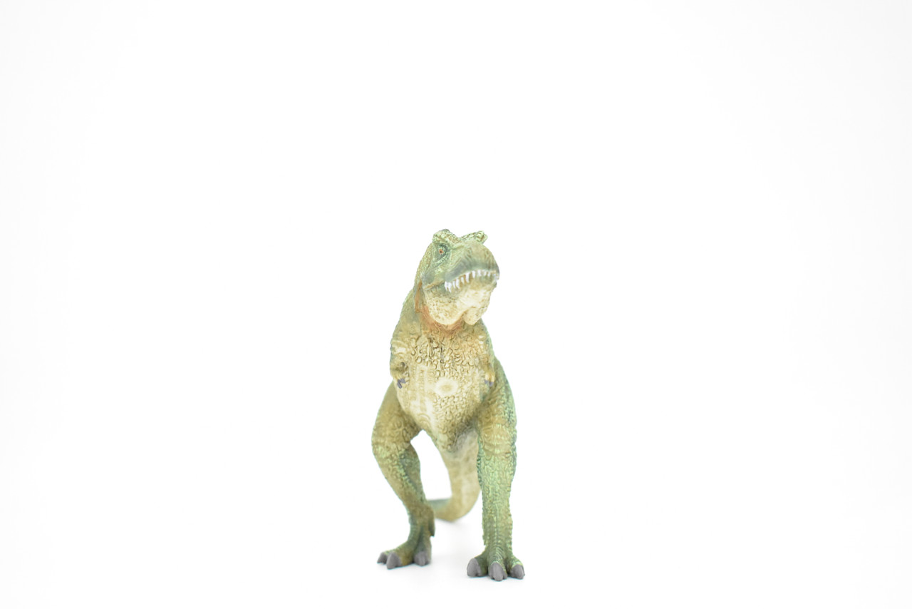 Tyrannosaurus rex, T. Rex, Dinosaur, Museum Quality Plastic Replica  9"L x 4.5"T  M014-B631