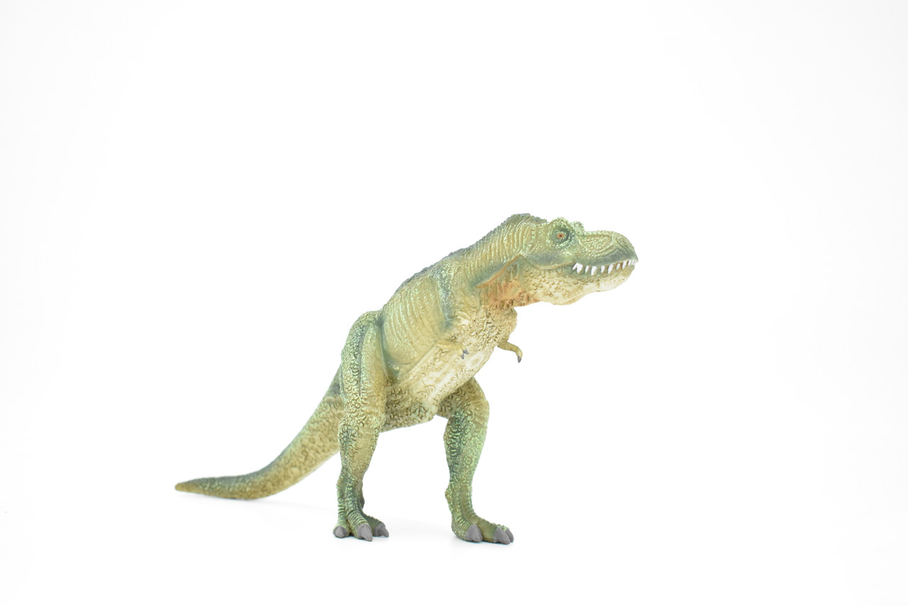 Tyrannosaurus rex, T. Rex, Dinosaur, Museum Quality Plastic Replica  9"L x 4.5"T  M014-B631