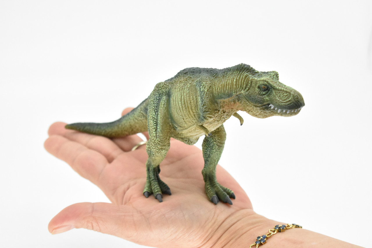 Tyrannosaurus rex, T. Rex, Dinosaur, Museum Quality Plastic Replica  9"L x 4.5"T  M014-B631