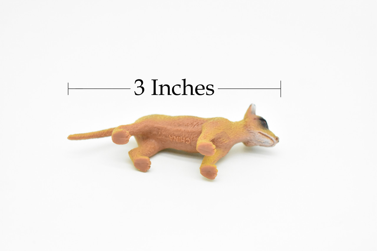 Tasmanian Tiger, Thylacine, Australia's unique Animal, Very Nice Plastic Toy, Figure, Educational, Figure, Lifelike, Diorama Model, Replica, Toy, Kids,  3 Inches 