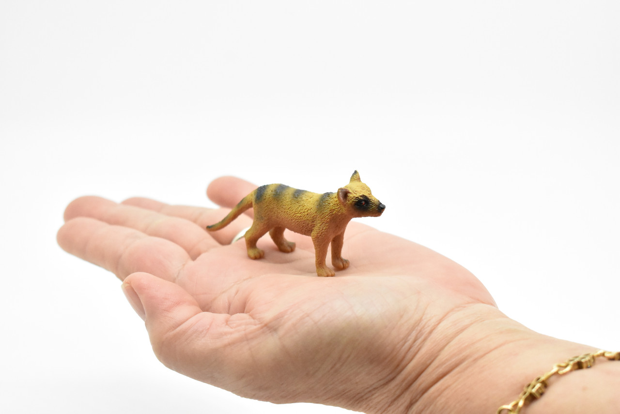 Tasmanian Tiger, Thylacine, Australia's unique Animal, Very Nice Plastic Toy, Figure, Educational, Figure, Lifelike, Diorama Model, Replica, Toy, Kids,  3 Inches 