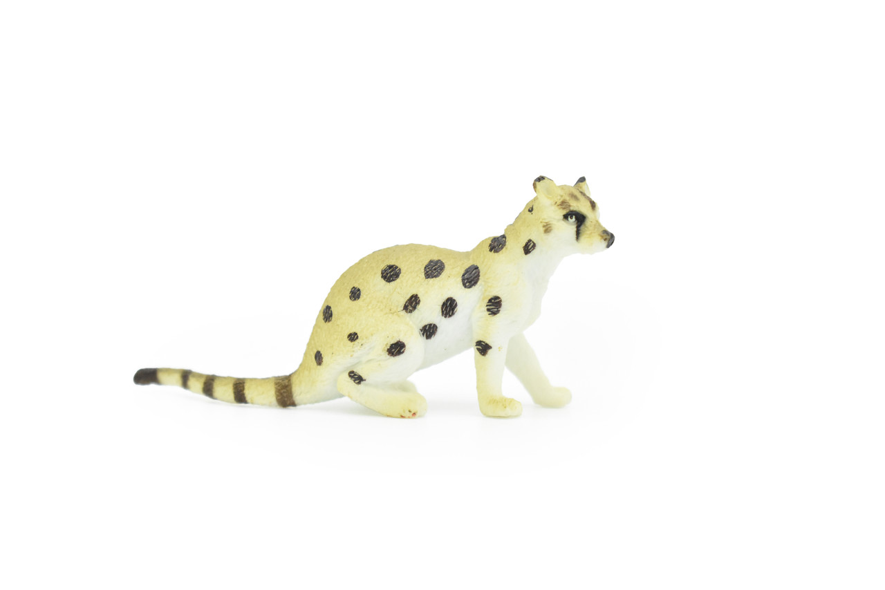 Civet, Cat, Malabar, Spotted, Very Nice Plastic Animal Toy, Figure, Model, Figurine, Educational, Animal, Kids, Gift ,    3"    CWG129 B238