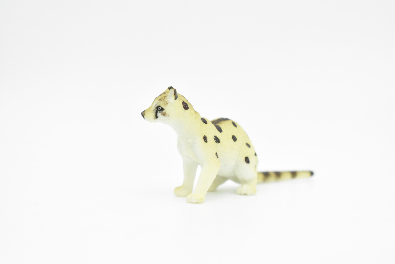 Civet, Cat, Malabar, Spotted, Very Nice Plastic Animal Toy, Figure, Model, Figurine, Educational, Animal, Kids, Gift ,    3"    CWG129 B238
