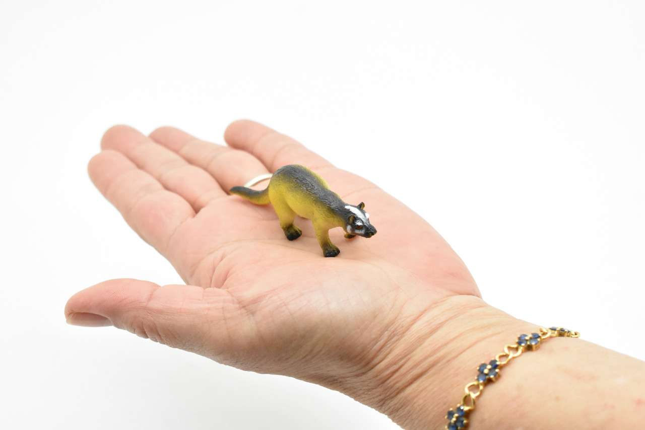 Coati, White Nose, Coatimundi, (Nasua narica), Very Nice Plastic Animal, Hand Painted, Educational, Lifelike, Diorama Model, Replica, Toy, Kids,   2 1/2 Inches. 