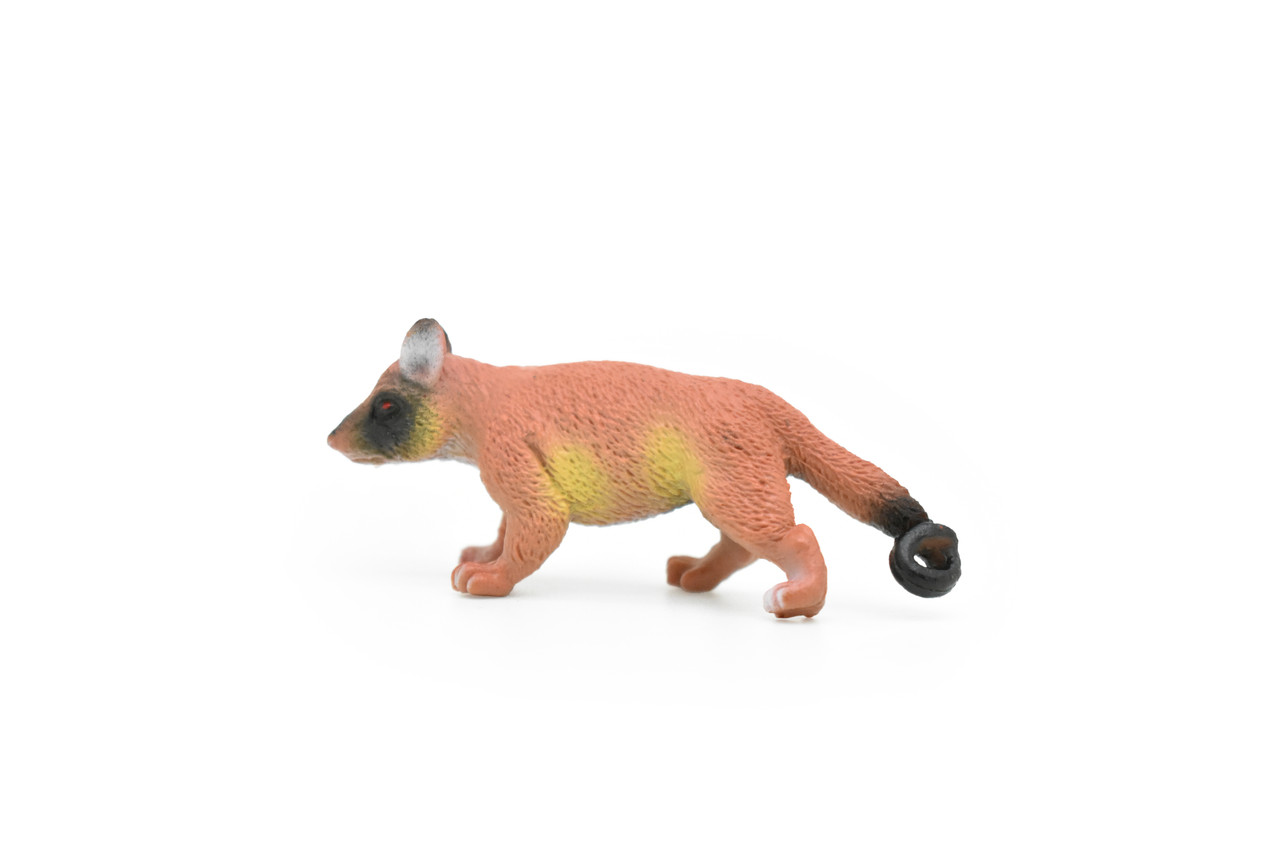 Brazilian aardvark, Coatimundi, Coati, Very Nice Plastic Design, Animal Figure, Educational, Figure, Lifelike, Diorama Model, Replica, Toy, Kids, 2 1/2 Inches. 