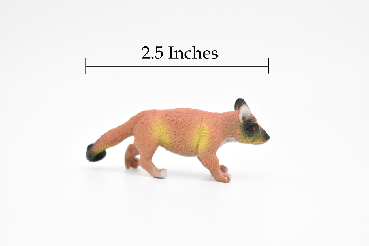 Brazilian aardvark, Coatimundi, Coati, Very Nice Plastic Design, Animal Figure, Educational, Figure, Lifelike, Diorama Model, Replica, Toy, Kids, 2 1/2 Inches. 