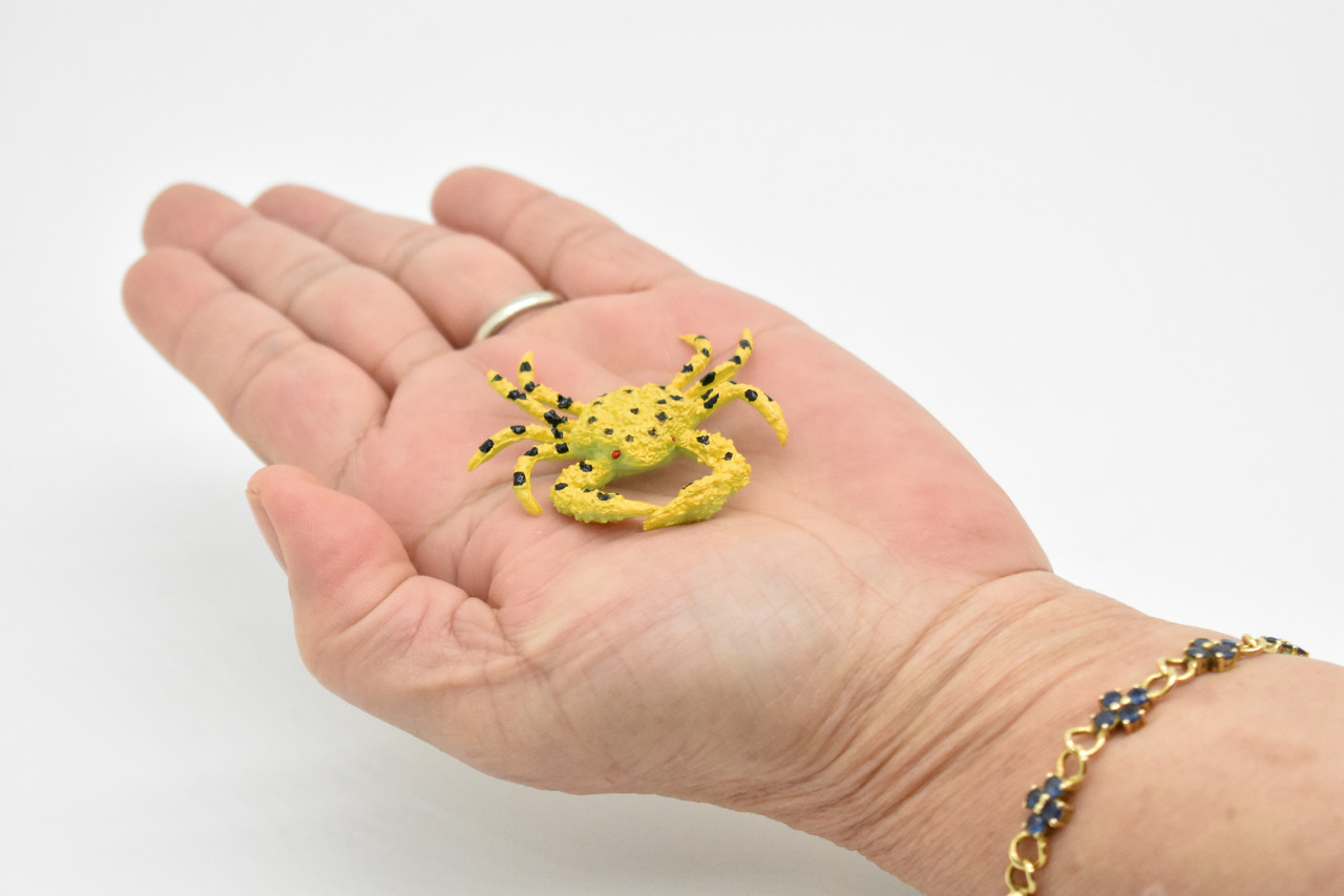 Crab, Golden Ghost Crab, Ocypode convexа, Hand Painted, Realistic, Solid Rubber, Saltwater, Educational Model,  Figure, Lifelike, Diorama Model, Toy, 2 Inches