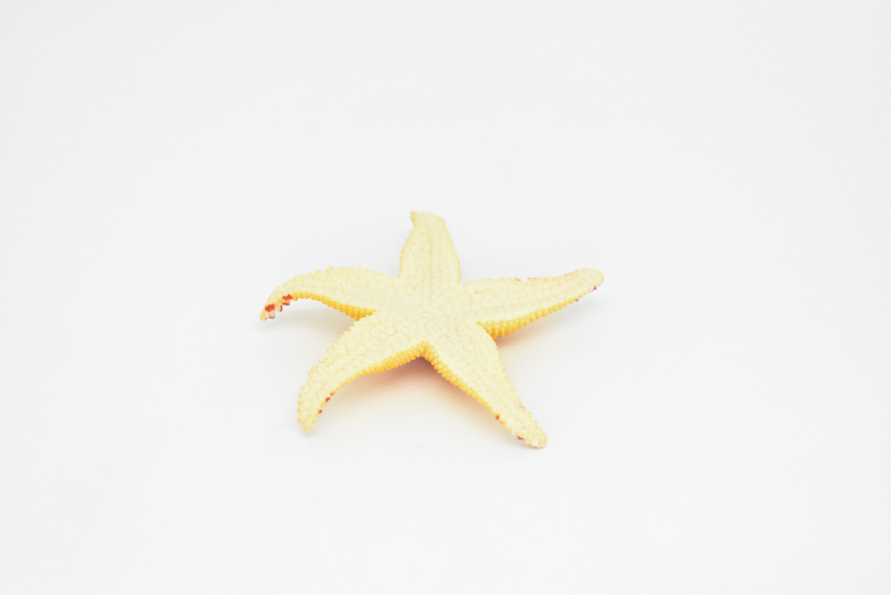 Starfish, Orange, Realistic Plastic Star Fish Model, Toy, Kids Educational  Gift, Animal, Figure 1 CWG142 BB28