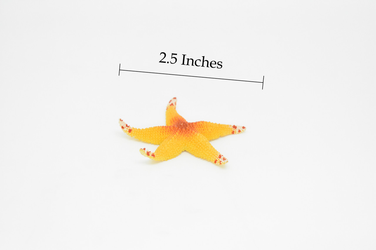 Starfish, Orange, Realistic Plastic Star Fish Model, Toy, Kids Educational Gift, Animal, Figure     1"     CWG142 BB28