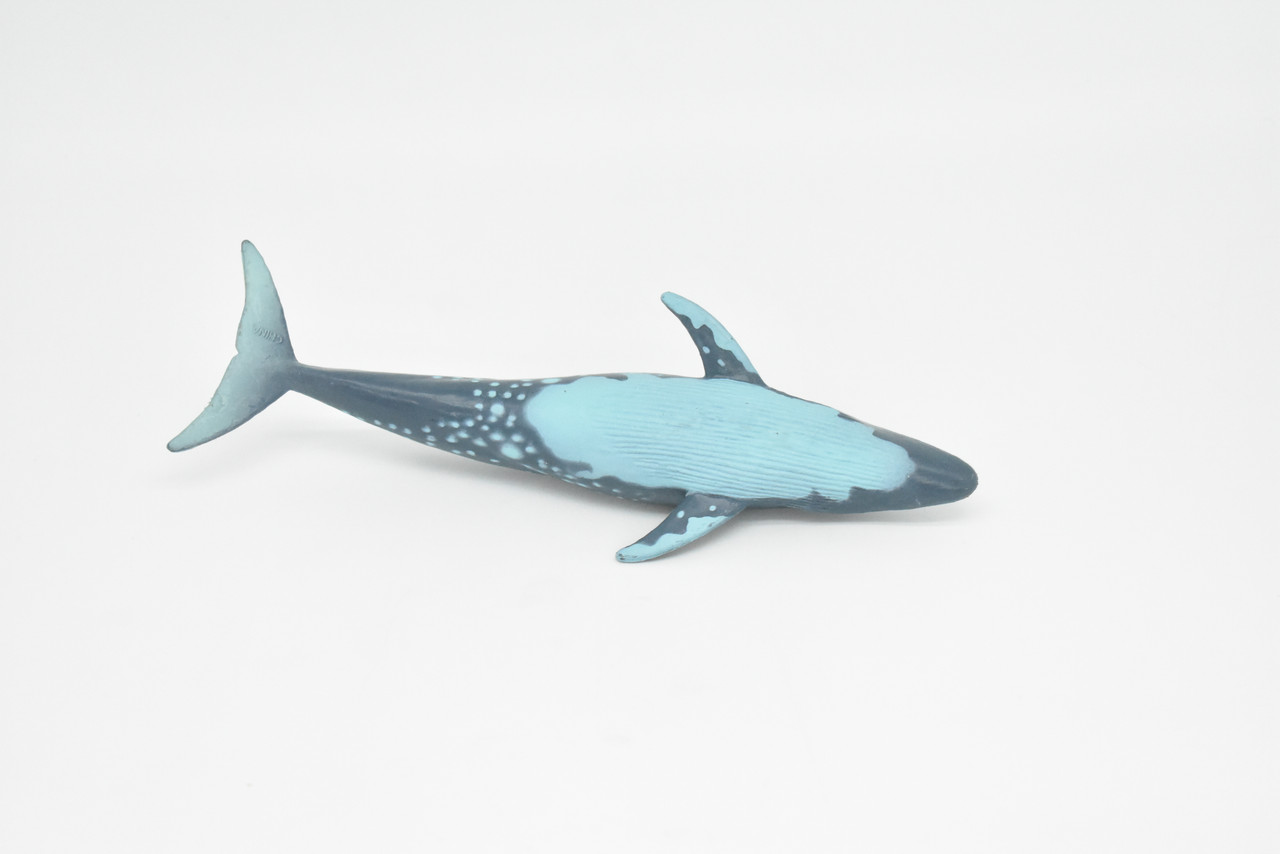Blue Whale, Balaenoptera musculus, Museum Quality, Realistic Plastic Animal Design, Hand Painted, Educational, Lifelike, Diorama Model, Toy, Kids, Gift,  7 Inches.      CWG145 BB28
