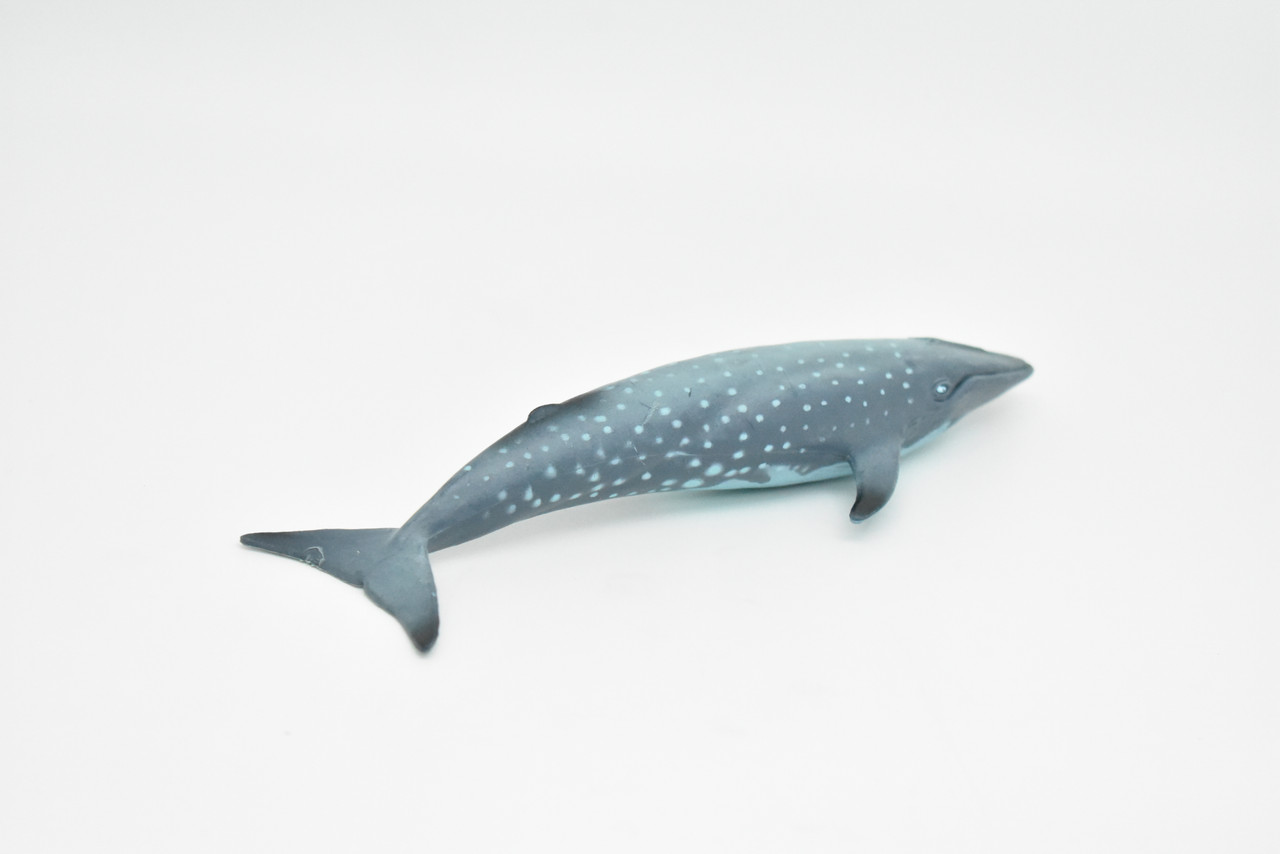 Whale, Blue, Museum Quality Rubber Blue Whale Model, Toy, Kids