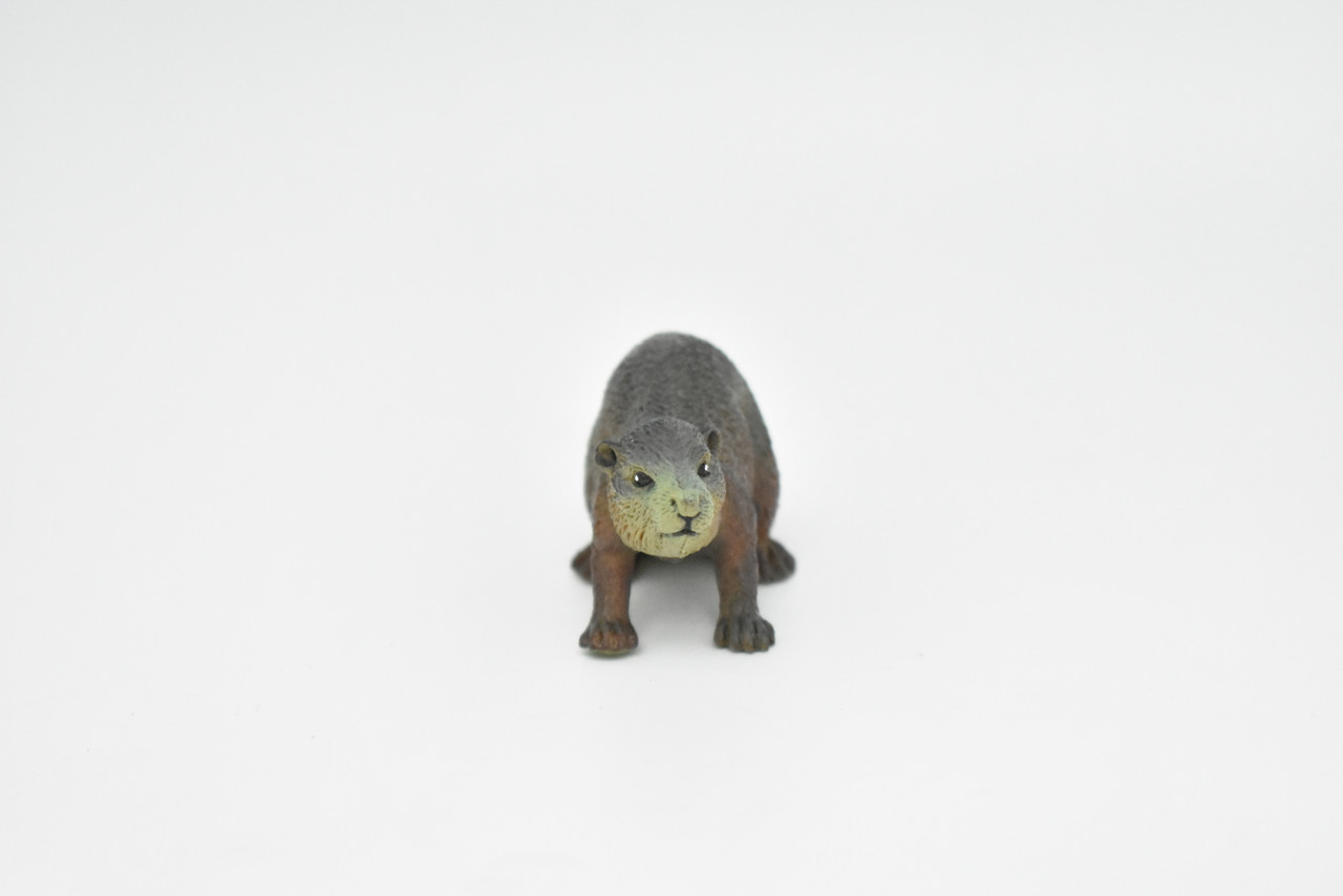 Beaver, Museum Quality Rubber Castor Model, Toy, Kids Educational Gift, Animal, Figure   3"      CWG148 BB28