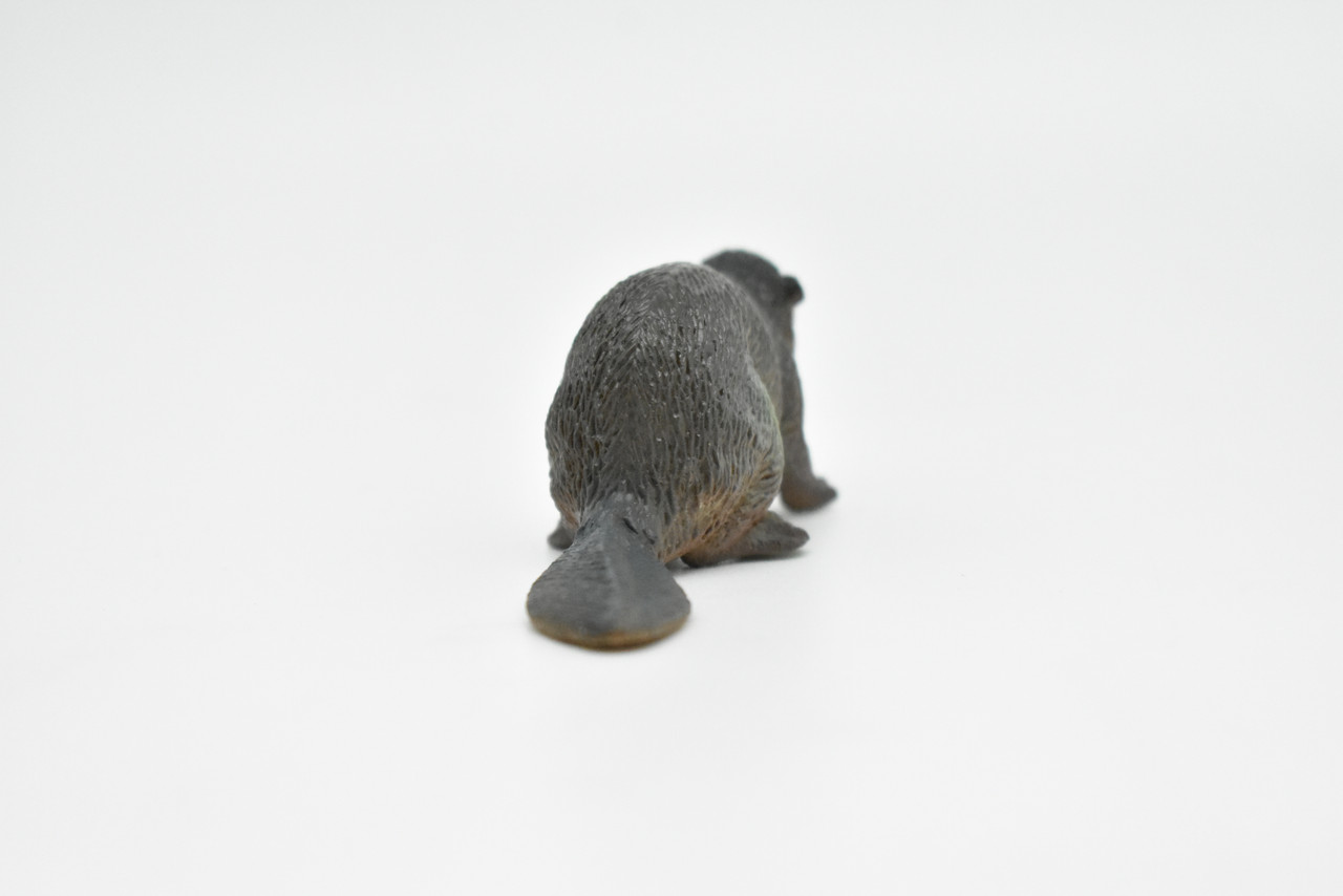 Beaver, Museum Quality Rubber Castor Model, Toy, Kids Educational Gift, Animal, Figure   3"      CWG148 BB28