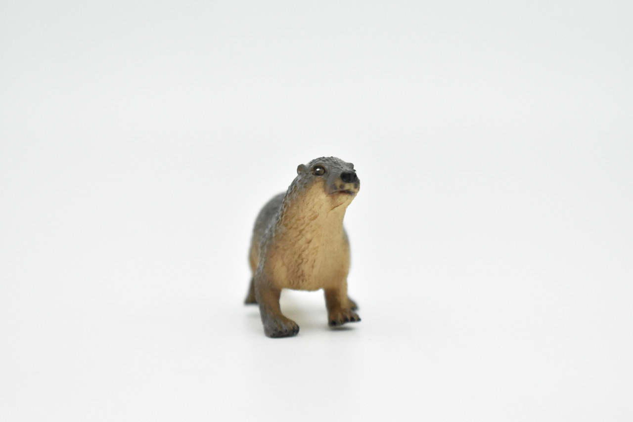 River Otter Museum Quality Rubber Otter Model, Toy, Figure   3"      CWG149 BB28