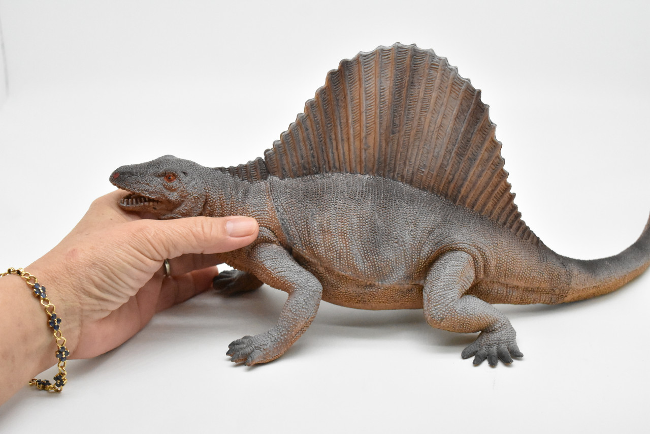 Dimetrodon, Dinosaur, Figure, Model, Figurine, Educational, Animal, Kids, Gift Toy Plastic Replica,      14"        CWG153 BB29  