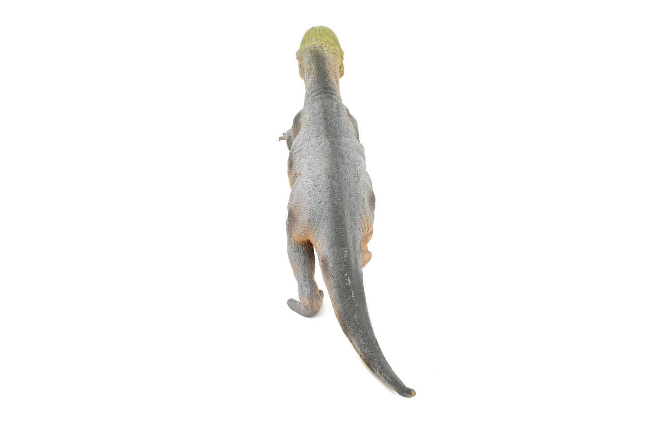 Stegoceras, Dinosaur, Figure, Model, Figurine, Educational, Animal, Kids, Gift Toy Plastic Replica,      14"        CWG156 BB32   