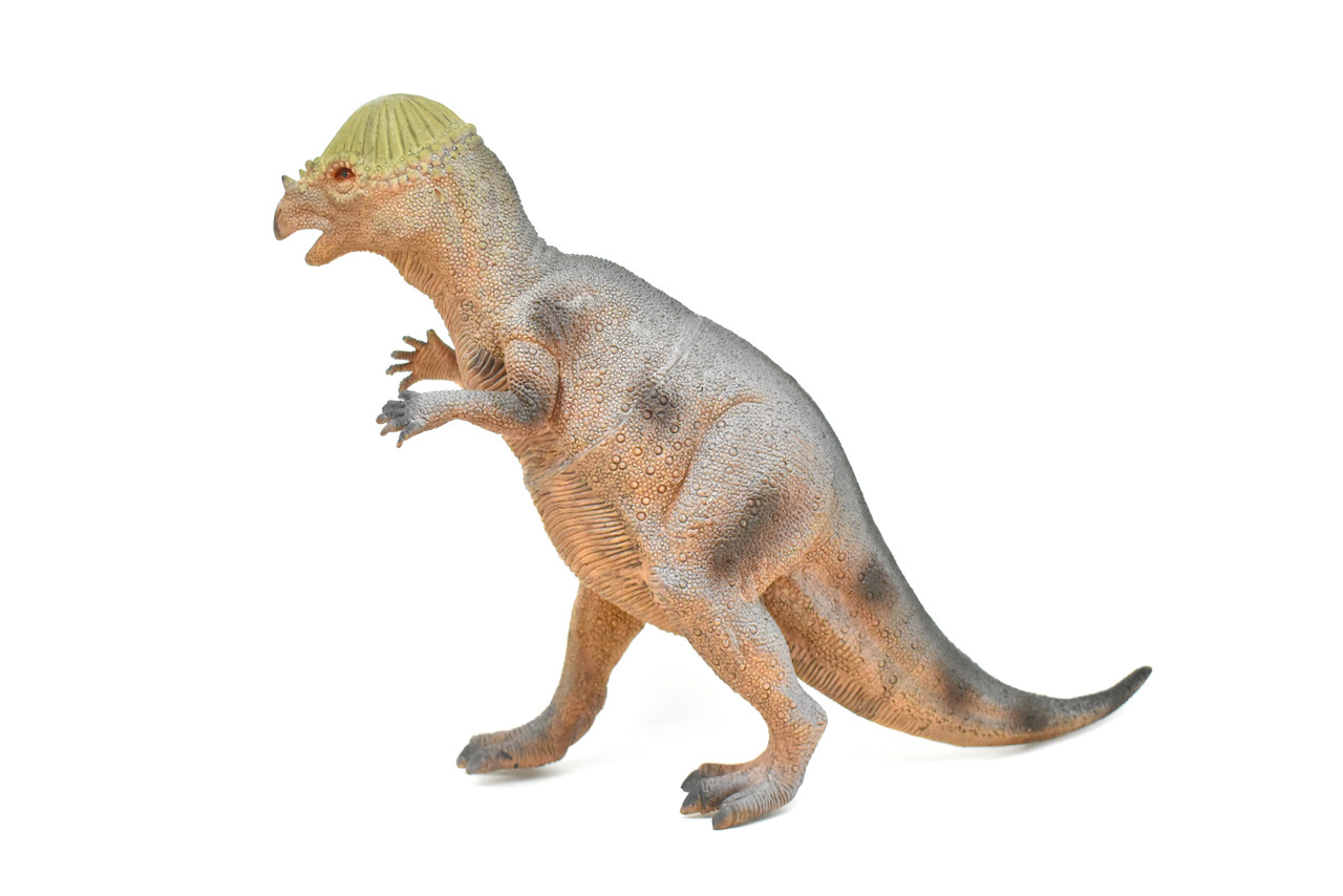 Stegoceras, Dinosaur, Figure, Model, Figurine, Educational, Animal, Kids, Gift Toy Plastic Replica,      14"        CWG156 BB32   