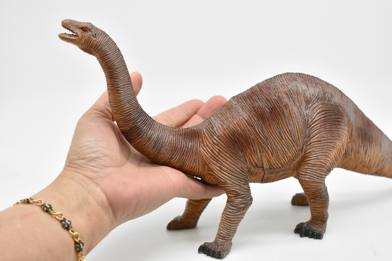 Apatosaurus, Dinosaur, Jurassic period, Museum Quality, Realistic, Educational, Hand Painted, Lifelike Design, Diorama Model, Replica, Toy,  16 Inches 