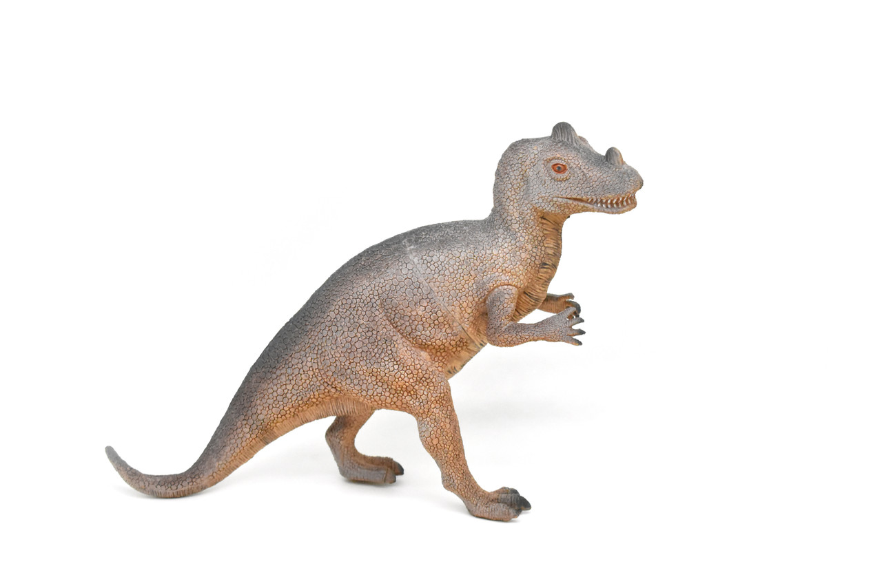 Ceratosaurus, Dinosaur, Figure, Model, Figurine, Educational, Animal, Kids, Gift Toy Plastic Replica,      14"        CWG160 BB36   