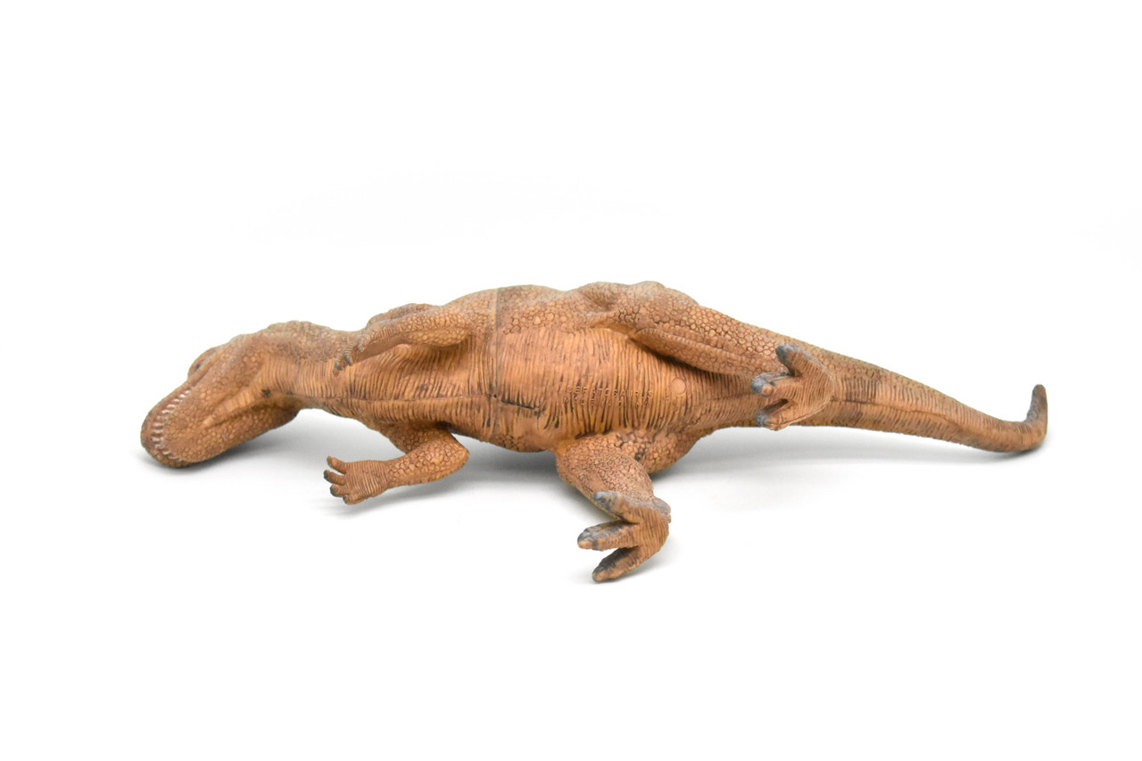 Ceratosaurus, Dinosaur, Figure, Model, Figurine, Educational, Animal, Kids, Gift Toy Plastic Replica,      14"        CWG160 BB36   