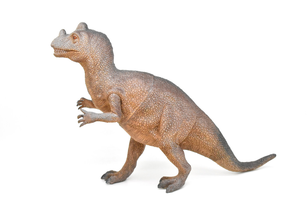 Ceratosaurus, Dinosaur, Figure, Model, Figurine, Educational, Animal, Kids, Gift Toy Plastic Replica,      14"        CWG160 BB36   