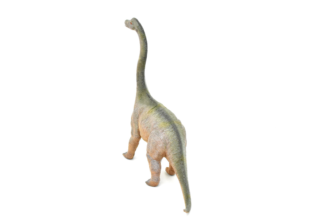 Brachiosaurus, Dinosaur, Jurassic period, Museum Quality, Realistic, Educational, Hand Painted, Lifelike Design, Diorama Model, Replica, Toy,  14 Inches 