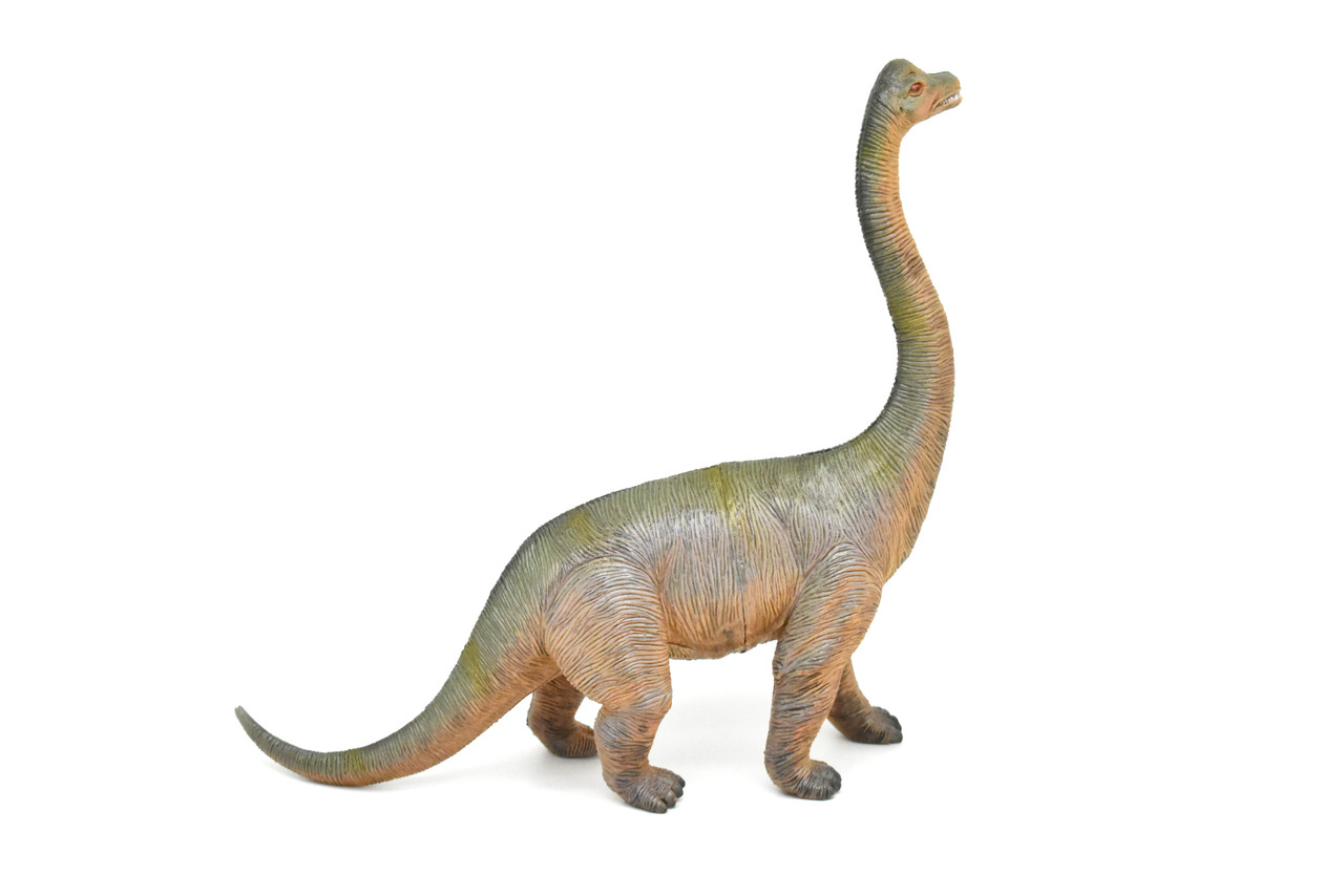 Brachiosaurus, Dinosaur, Figure, Model, Figurine, Educational, Animal, Kids, Gift Toy Plastic Replica,      14"        CWG161 BB37  