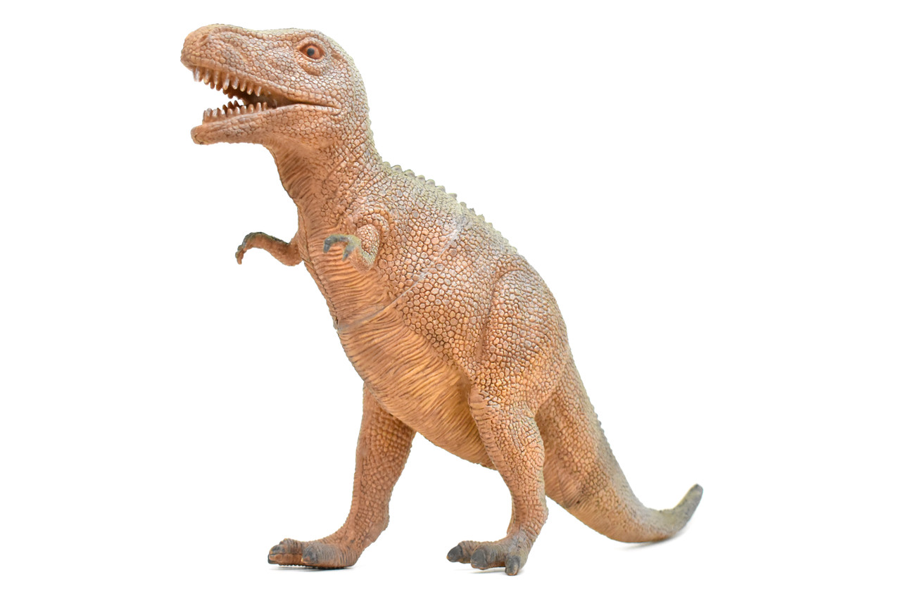 Tyrannosaurus Toy, T- Rex Dinosaur, Very Nice Plastic Replica, 14"  CWG16 BB38