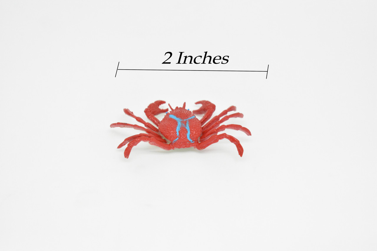 Crab, Red, Figure, Model, Figurine, Educational, Animal, Kids, Gift Toy Plastic Rock Crab Replica     2"     CWG164 BB28   