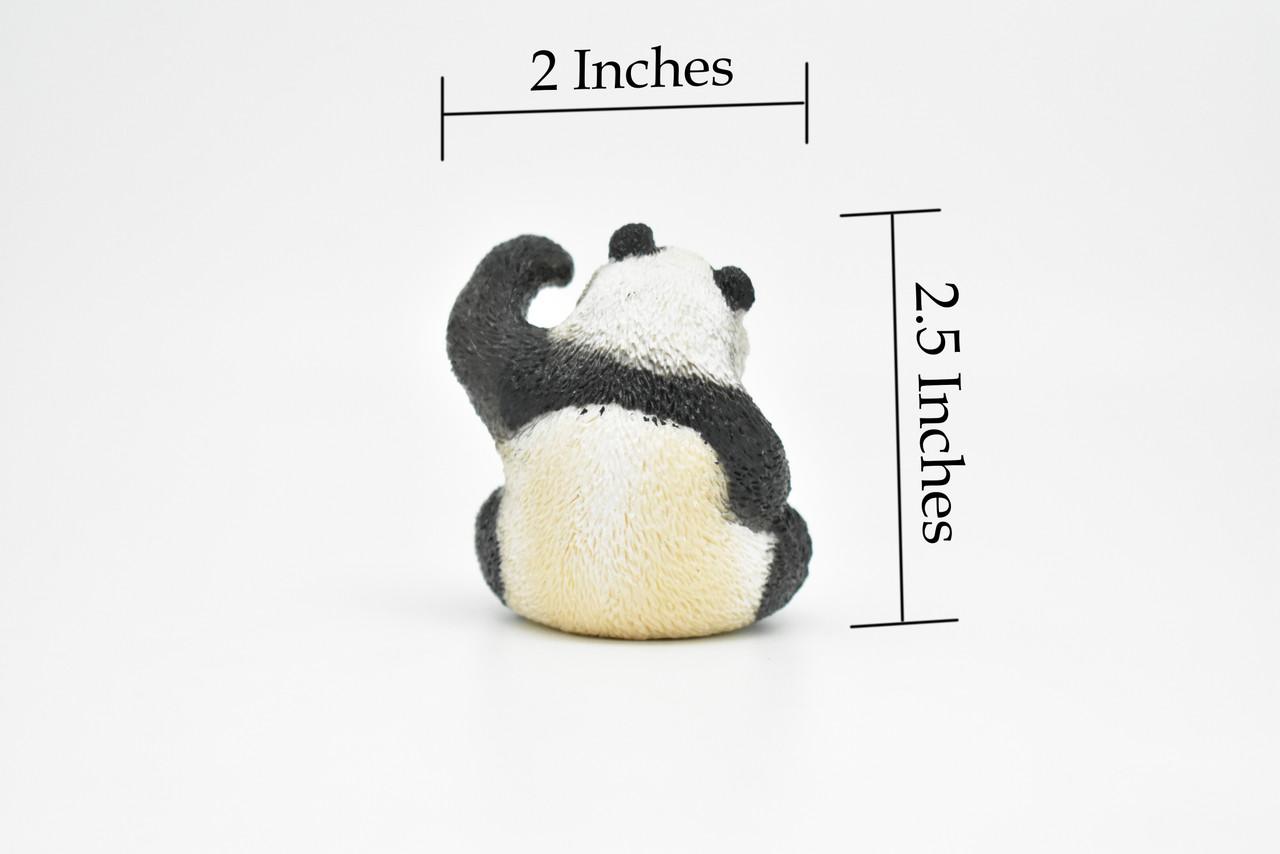 Panda Bear, Giant panda, Bamboo bear, Museum Quality, Hand Painted, Plastic Animal, Educational, Realistic, Lifelike Diorama Model, Toy,  Kids,  2 1/2 Inches. 
