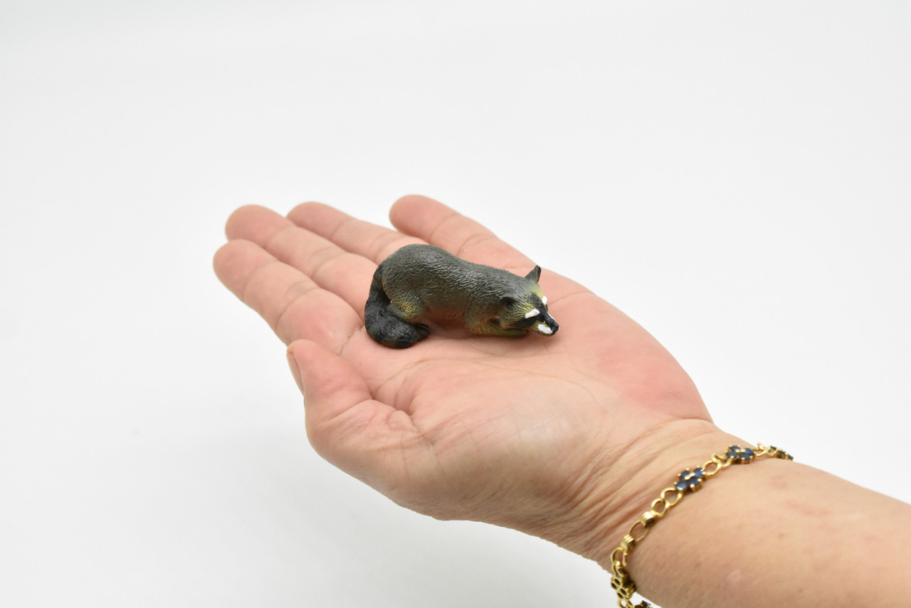 Raccoon, Masked bandit, Ringtail, Hand Painted, High Quality, Hard Rubber, Realistic, Educational, Diorama Model, Lifelike, Toy, 2 Inches. 