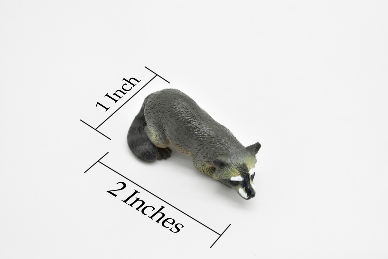 Raccoon, Masked bandit, Ringtail, Hand Painted, High Quality, Hard Rubber, Realistic, Educational, Diorama Model, Lifelike, Toy, 2 Inches. 