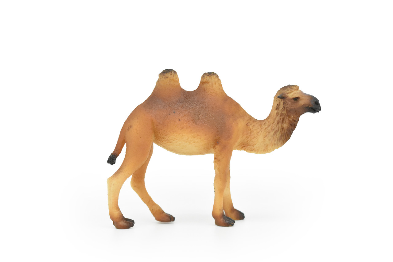 Camel, Bactrian, Mongolian camel, Very Nice Plastic Design, Animal Figure, Educational, Figure, Lifelike, Diorama Model, Figurine, Replica, Toy,  4 Inches.  