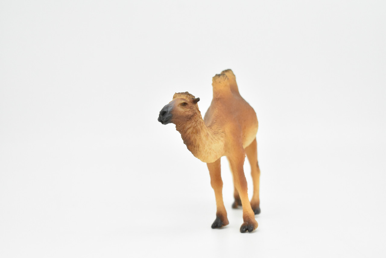 Camel, Bactrian, Museum Quality, Realistic Plastic Animal Design, Educational, Hand Painted, Figure, Lifelike, Model, Figurine, Replica, Gift,   4 "     CWG172 BB40                         