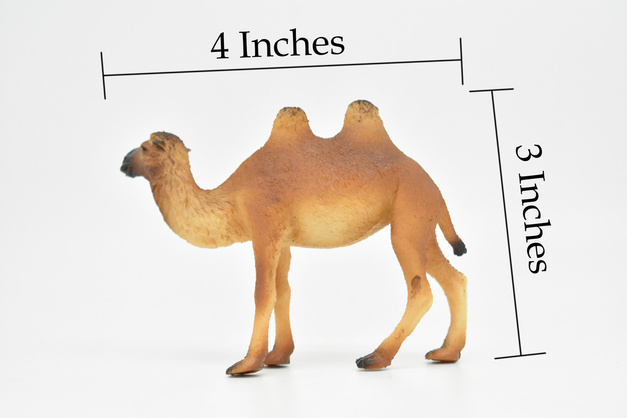 Camel, Bactrian, Mongolian camel, Very Nice Plastic Design, Animal Figure, Educational, Figure, Lifelike, Diorama Model, Figurine, Replica, Toy,  4 Inches.  