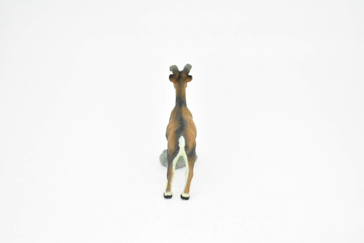 Goat, Feral, Museum Quality, Realistic Plastic Animal Design, Educational, Hand Painted, Figure, Lifelike, Model, Figurine, Replica, Gift,    4 "     CWG173 BB41                                    