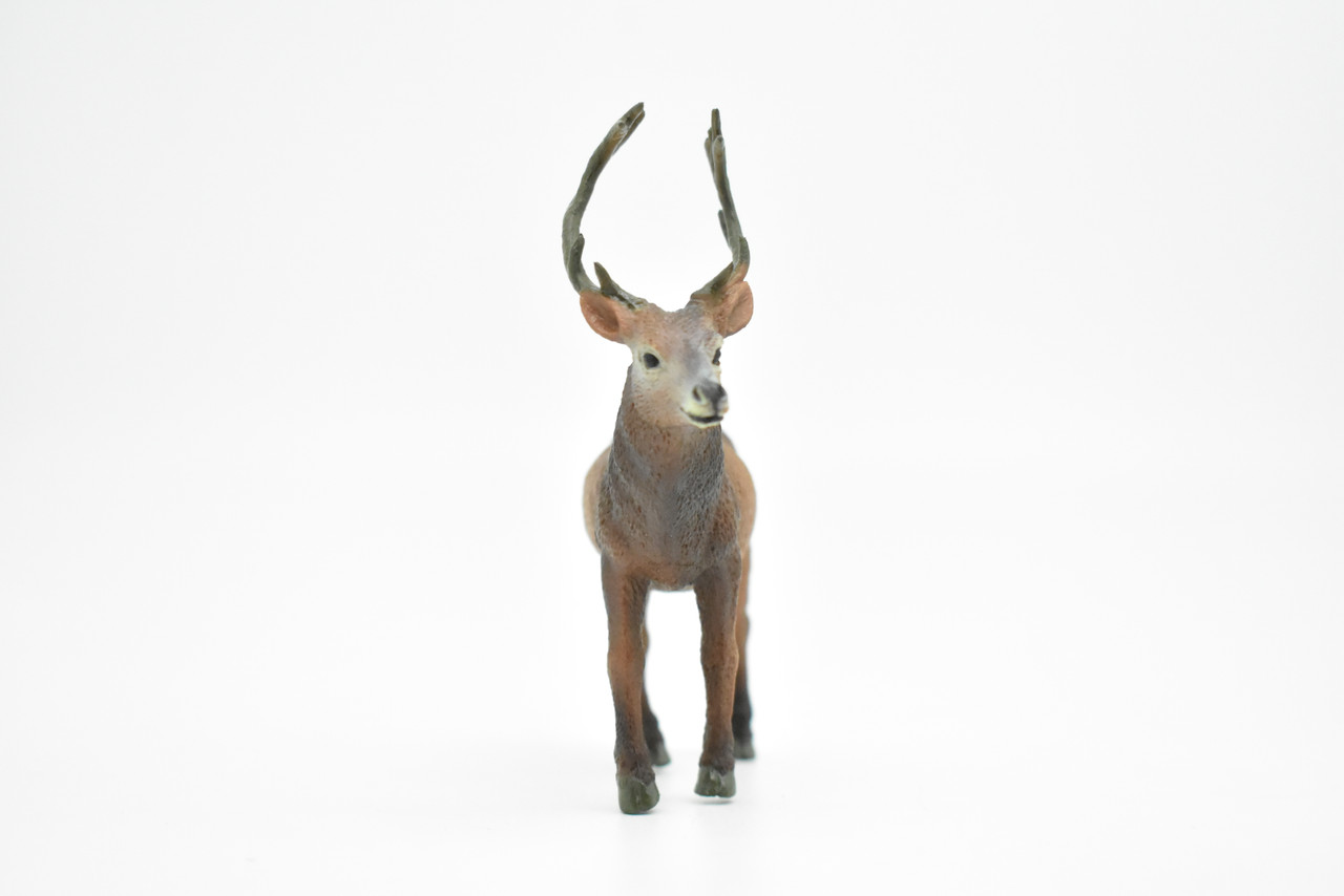 Elk, Wapiti, Museum Quality, Realistic Plastic Animal Design, Educational, Hand Painted, Figure, Lifelike, Model, Figurine, Replica, Gift,    4 "     CWG175 BB41                                   