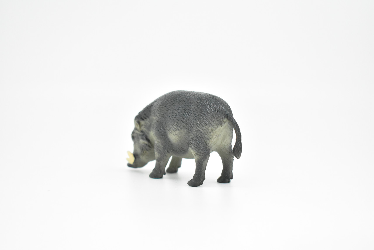 Wild Boar, Javelina Pig, Figure, Model, Figurine, Educational, Animal, Kids, Gift Museum Quality Plastic Replica, Hand Painted     3 "     CWG177 BB41