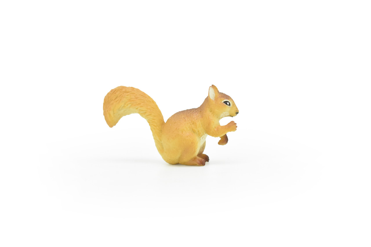 Squirrel, Museum Quality Plastic Replica, Figurine, Educational, Animal, Kids, Gift, Museum Quality Hand Painted        2 "     CWG179 BB41