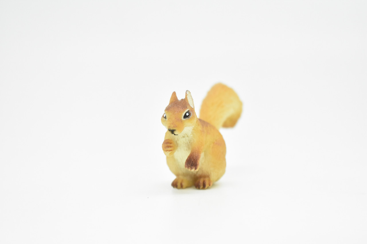 Squirrel, Museum Quality Plastic Replica, Figurine, Educational, Animal, Kids, Gift, Museum Quality Hand Painted        2 "     CWG179 BB41