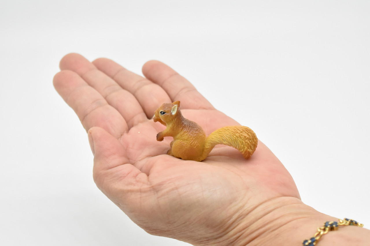 Squirrel, Museum Quality Plastic Replica, Figurine, Educational, Animal, Kids, Gift, Museum Quality Hand Painted        2 "     CWG179 BB41