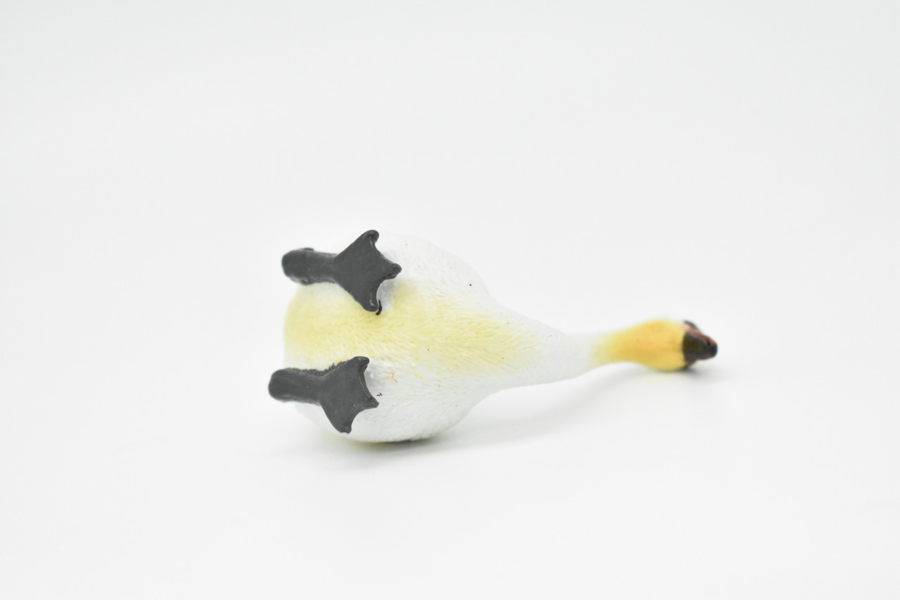 Swan, Museum Quality, Realistic, Plastic, Bird Design, Educational, Hand Painted, Figure, Lifelike, Model, Figurine, Replica, Gift,      2 1/2"     CWG192 BB45