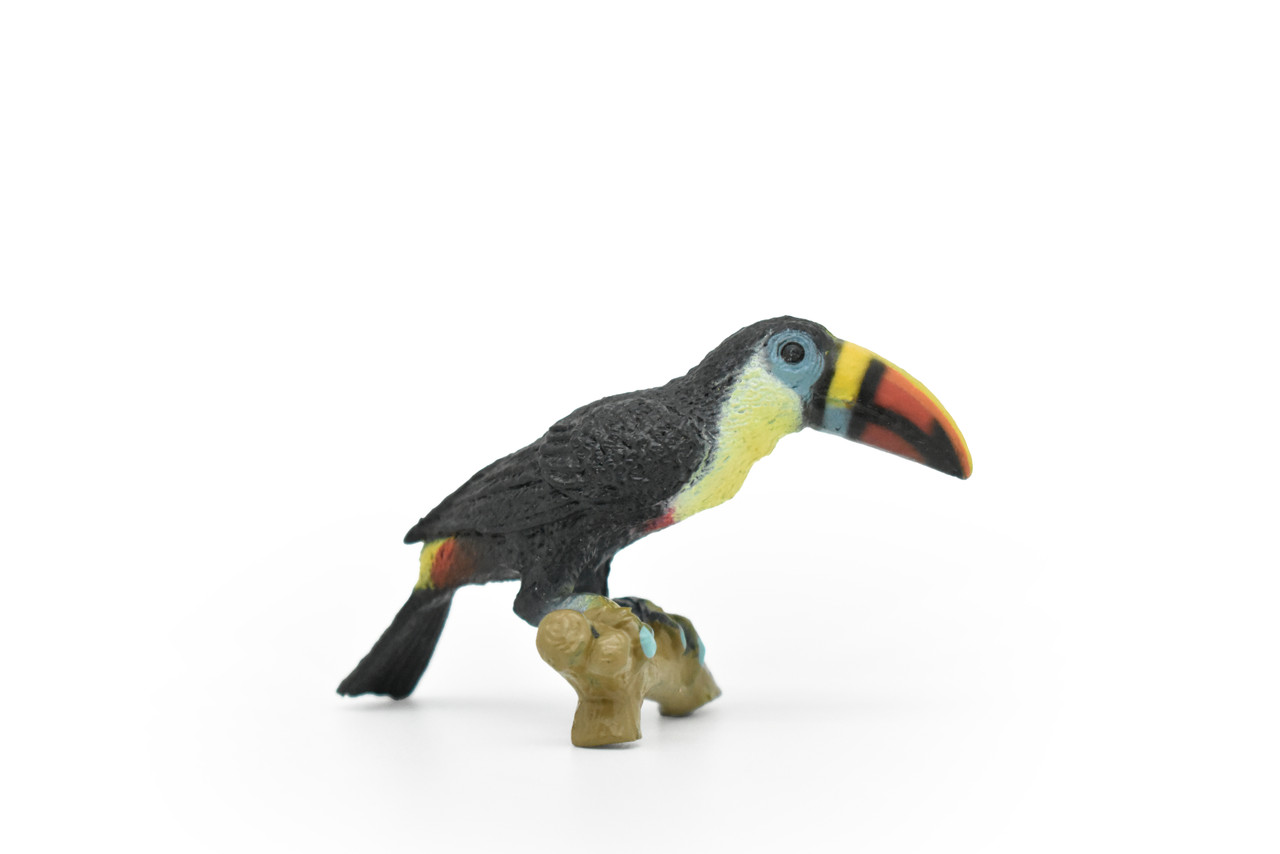 Toucan, Museum Quality, Realistic, Plastic, Bird Design, Educational, Hand Painted, Figure, Lifelike, Model, Figurine, Replica, Gift,       3"        CWG193 BB45