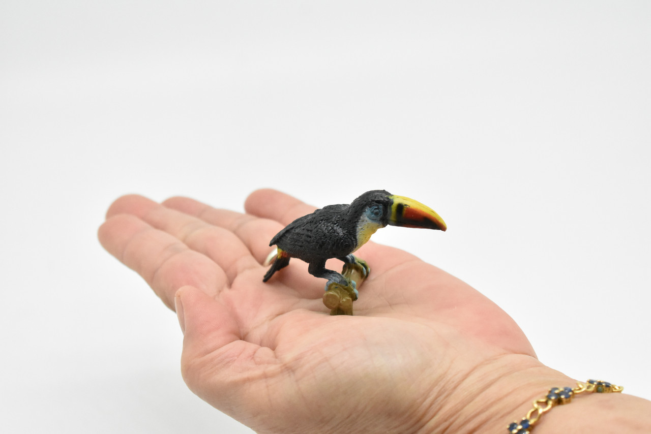 Toucan, Museum Quality, Realistic, Plastic, Bird Design, Educational, Hand Painted, Figure, Lifelike, Model, Figurine, Replica, Gift,       3"        CWG193 BB45