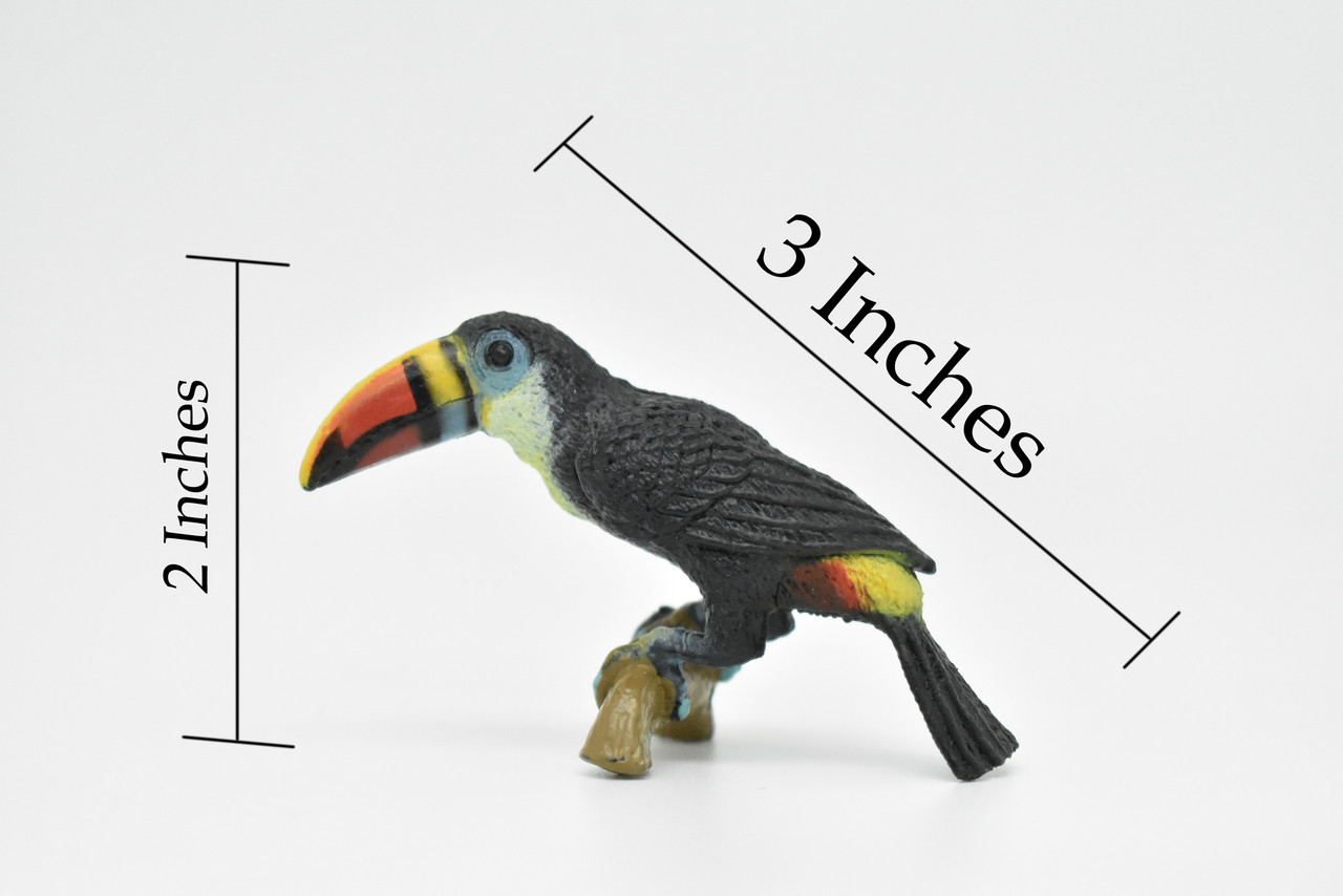 Toucan, Museum Quality, Realistic, Plastic, Bird Design, Educational, Hand Painted, Figure, Lifelike, Model, Figurine, Replica, Gift,       3"        CWG193 BB45