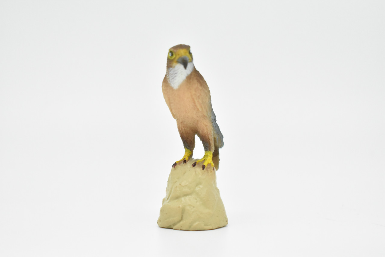 Falcon, Peregrine, Museum Quality, Realistic, Plastic, Bird Design, Educational, Hand Painted, Figure, Lifelike, Model, Figurine, Replica, Gift,         2 1/2"     CWG194 BB45