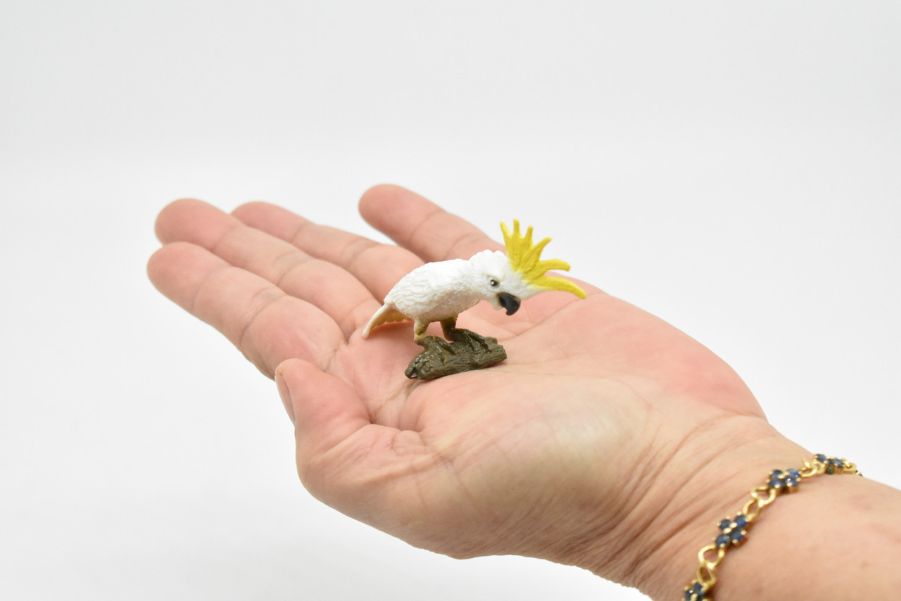 Cockatoo, Museum Quality, Realistic, Plastic, Australian Bird Design, Educational, Hand Painted, Figure, Lifelike, Diorama Model, Figurine, Replica, Toy, Gift,       3 Inches 