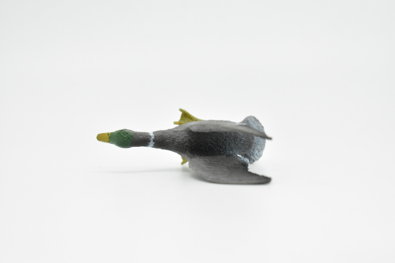 Mallard Duck, Museum Quality Toy , Plastic Replica, Educational, Figure, Figurine, Bird, Lifelike, Hand Painted Model        2 1/2"     CWG201 BB45