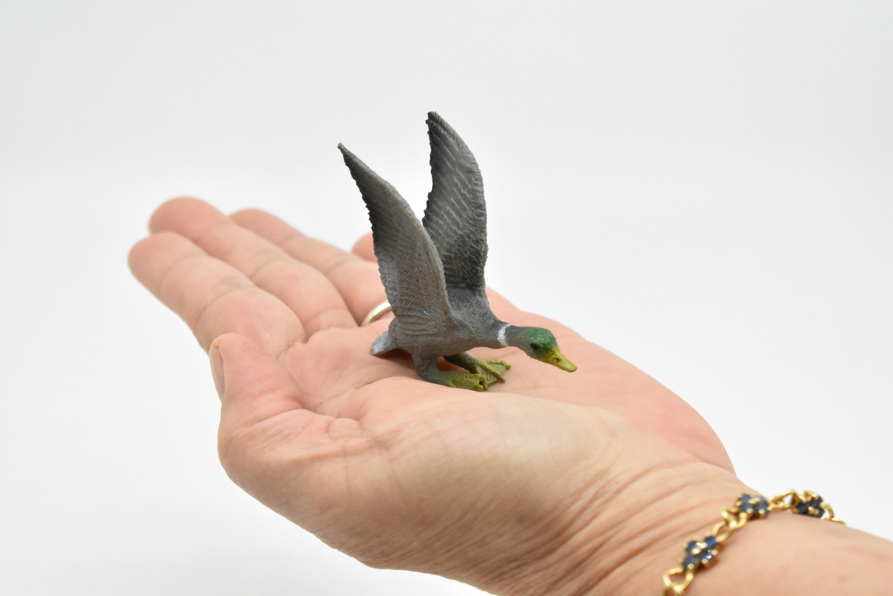 Mallard Duck, Hand Painted, Museum Quality, Realistic, Bird Design, Educational, Lifelike Figure, Diorama Model, Figurine, Replica, Toy,  2 1/2 Inches   