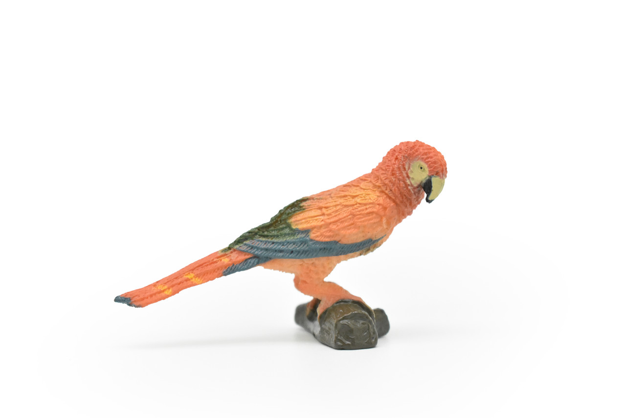Scarlet Macaw, Red Parrot, Ara Macao, Museum Quality, Realistic, Rubber Bird Design, Educational, Hand Painted, Figure, Lifelike, Model, Figurine, Replica,  3 Inches 